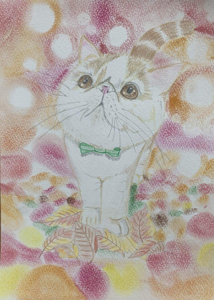 色鉛筆画 A4 ハチワレ猫124 色鉛筆画A4ハチワレ猫 97｜Yahoo!フリマ（旧PayPayフリマ）