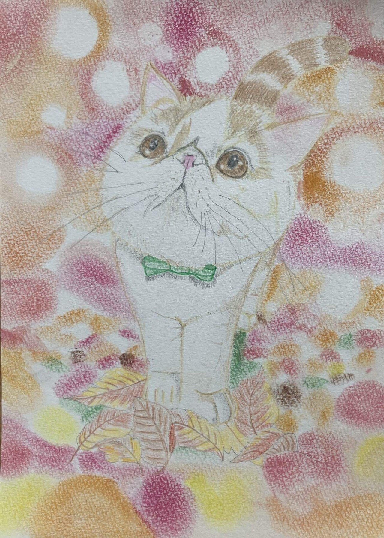 エキゾチックショートヘアの色鉛筆andパステル画です。｜まる