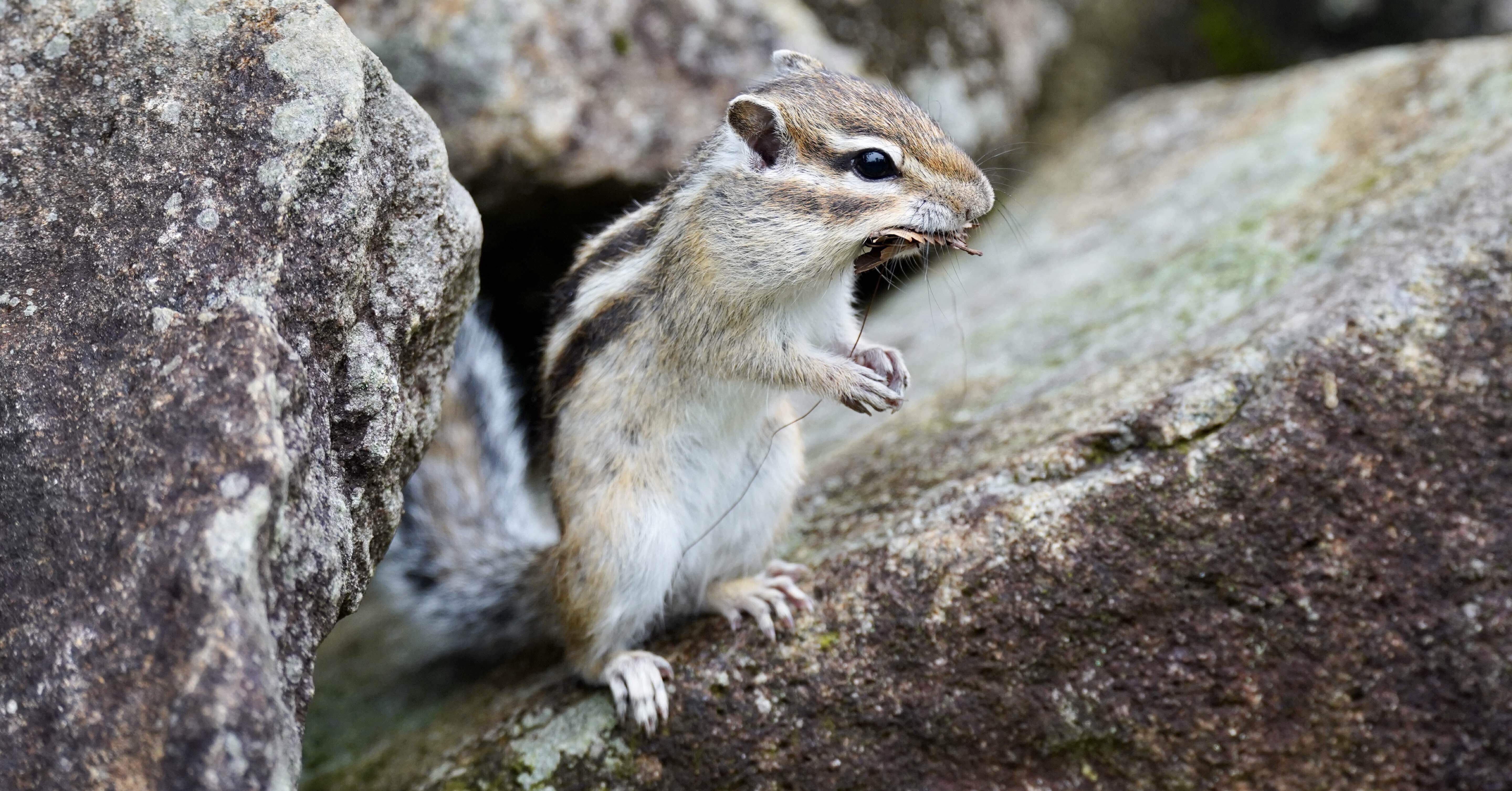 市民の森 見沼グリーンセンター りすの家 / Citizens' Forest Minuma