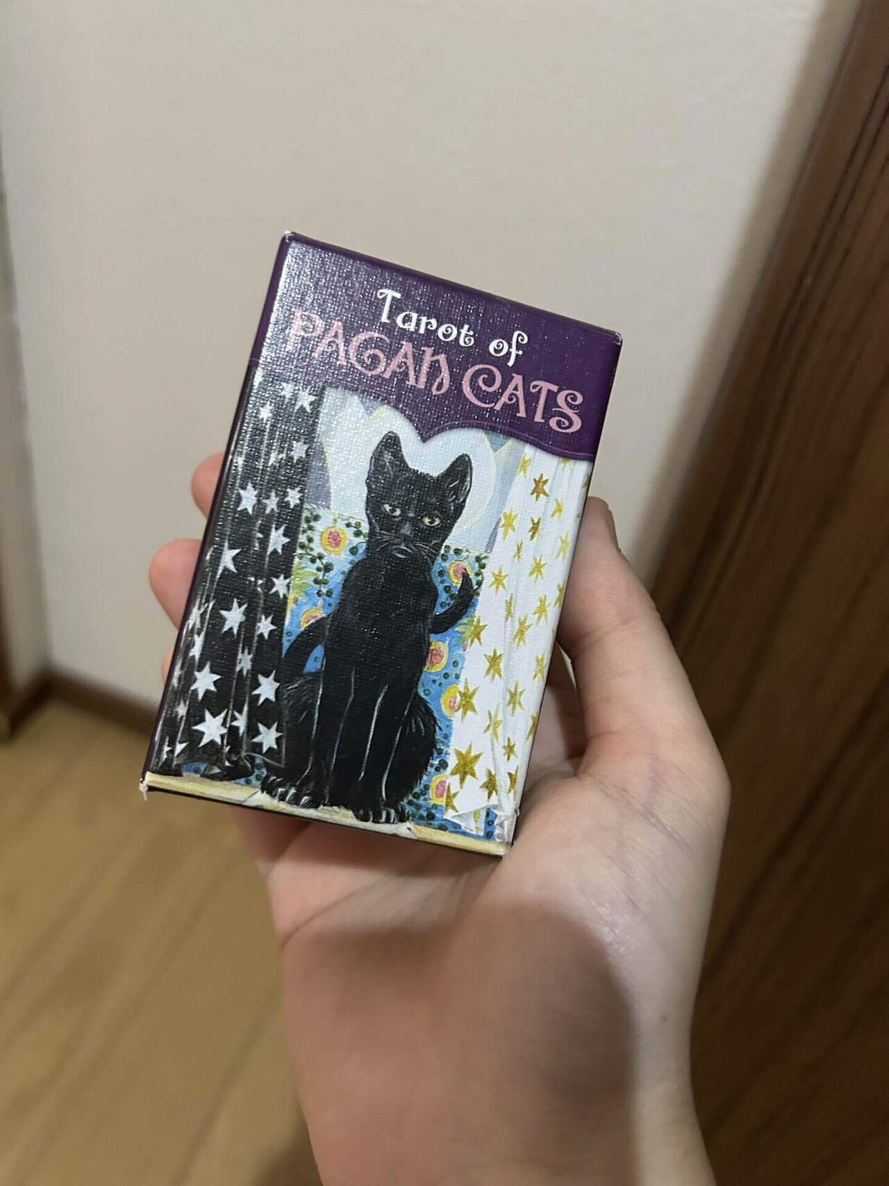 お子さま分析鑑定2名様分、開運金運招福オラクルメッセージ  おまとめ 週(7/27～8/2)のタロットメッセージ | 天時信哉の占いノート