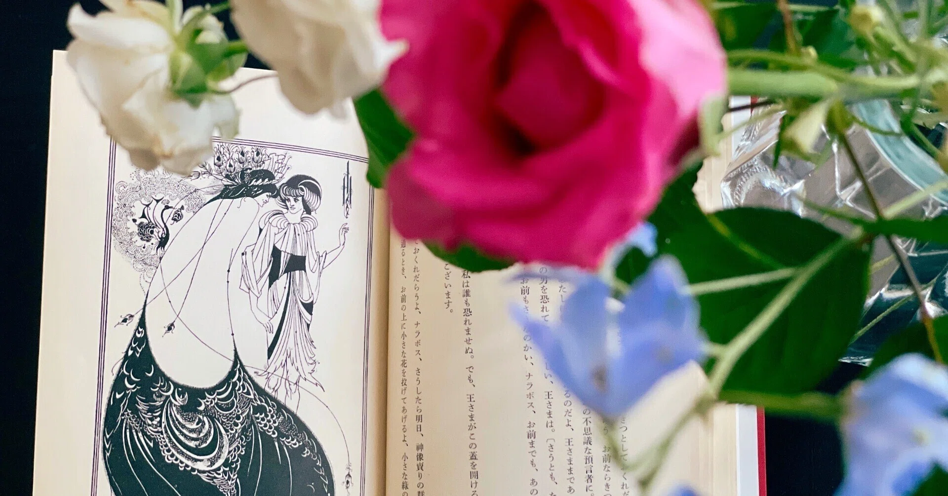 昭和三十三年の初版本『サロメ』を読む|装丁と旧仮名遣いの美しさに癒 昭和三十三年の初版本『サロメ』を読む|装丁と旧仮名遣いの美しさに癒