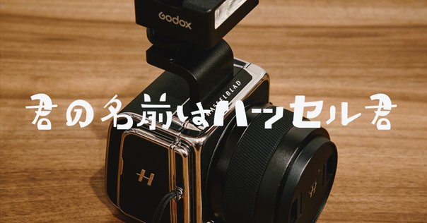 ★並品★ZENZA BRONICA S2 ボディ 私のお気に入りのカメラ、その1 ZenzaBRONICA S2｜ミヤモト