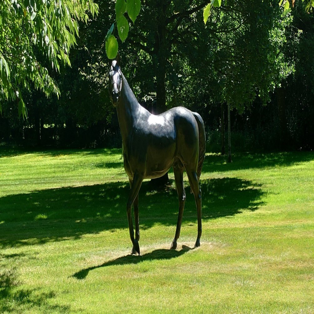 海外競馬】クールモア牧場訪問記録【牧場訪問レポ】｜PENSKE