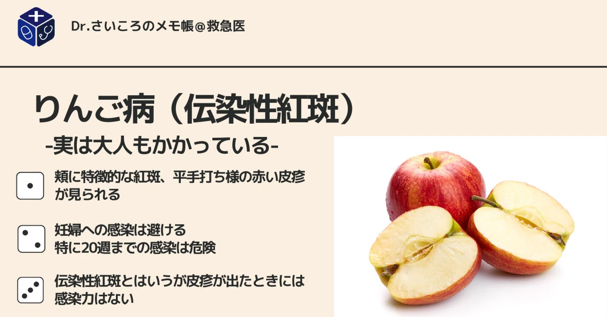 りんご病(伝染性紅斑)について|Dr.さいころのメモ帳@救急医