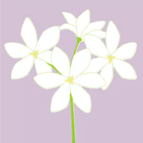上畠真紀
