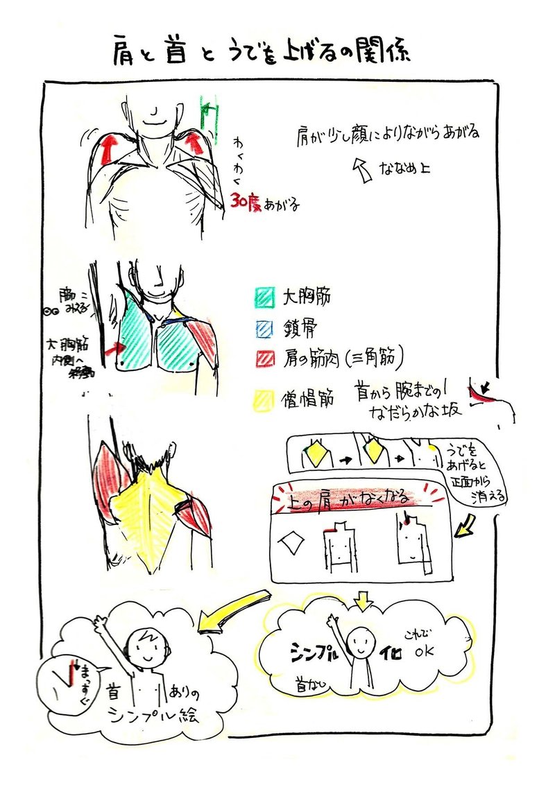 腕をあげているシンプルな絵 を描いてるとき 肩の構造に興味がわいたら つくえゆき らくがき講師 Note 腕をあげているシンプルな絵 を描いてるとき 肩の構造に興味がわいたら つくえゆき らくがき講師 Note