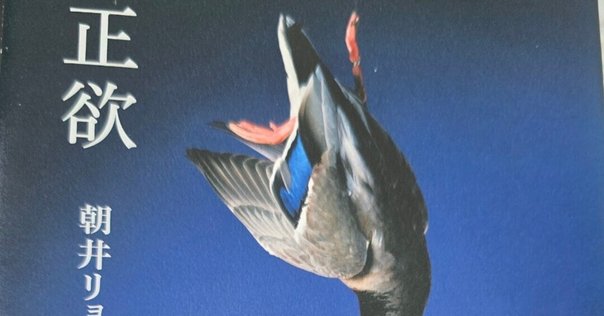 禁忌の子 生殖記　カフネ　人魚が逃げた　恋とか愛とかやさしさなら　本屋大賞 書籍編集者が「本屋大賞」2025ノミネート作品ぜんぶ読んでみた②