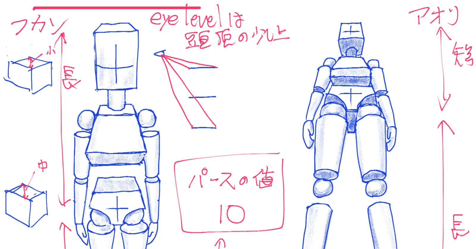 イラスト練習 第2週】 素体ブロックの練習｜柳澤＠イラスト練習中！