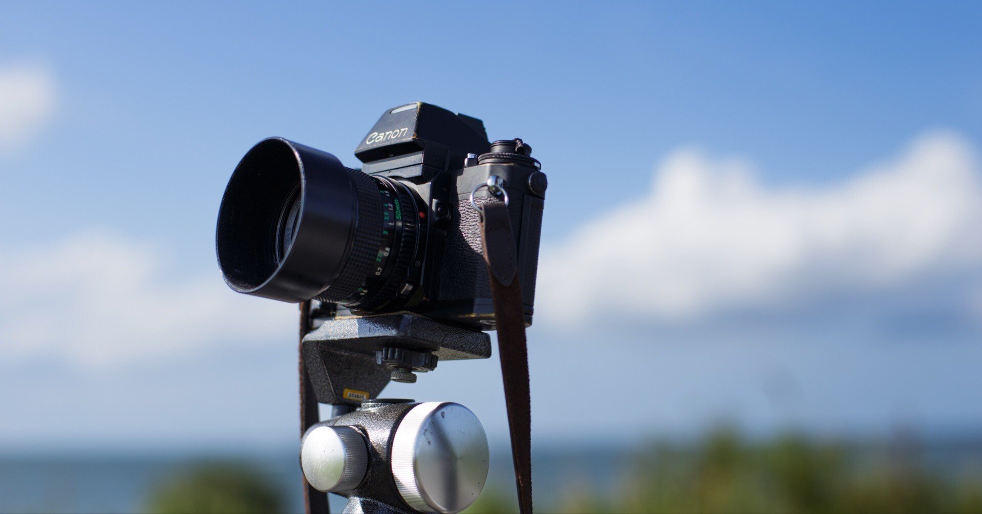 37年付き合ったカメラと再び恋に落ちる｜kimura noriaki