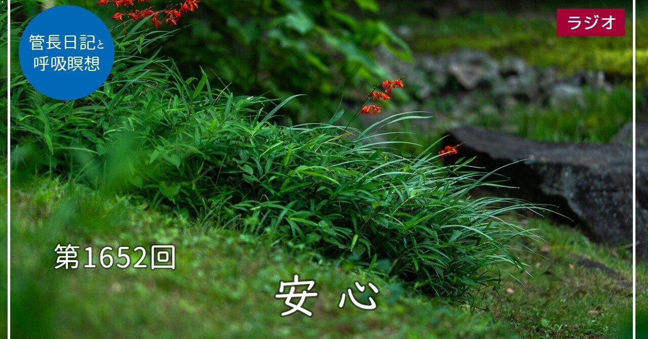 第1652回「安心」2025/7/16｜【公式】臨済宗大本山 円覚寺