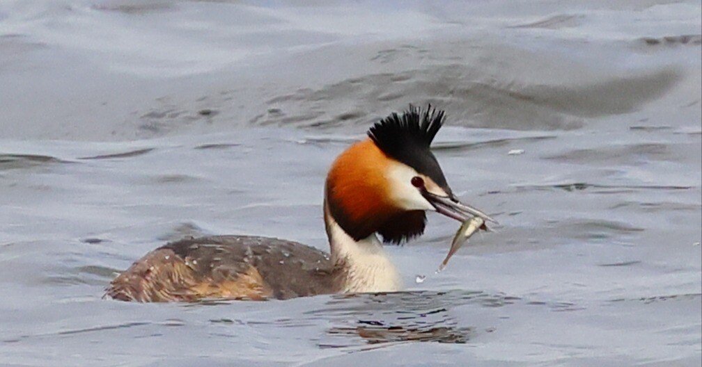 b20bd978602fca3b788b58c9b50e3d