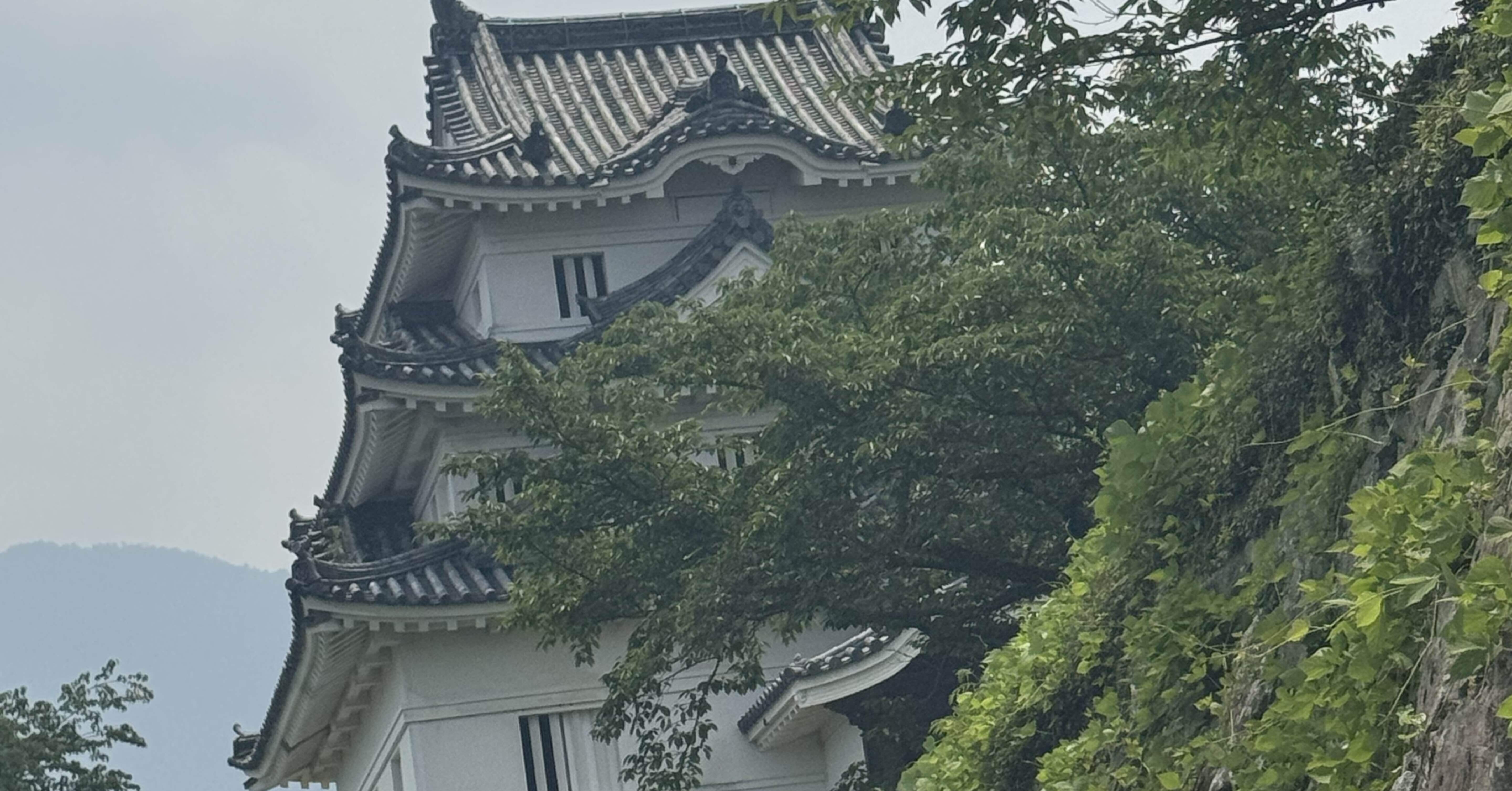 弌のきり上・下 宇和島藩庁伊達家史料 ✨伊達10万石の城下町・宇和島の歴史をひも解く｜꧁フォーカスの