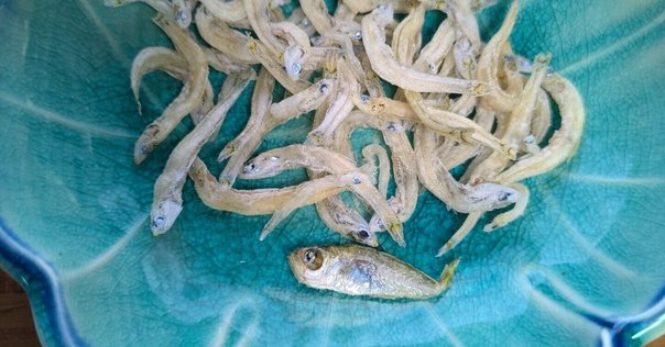 マルウオ白身のせ魚｜はじまるポケット