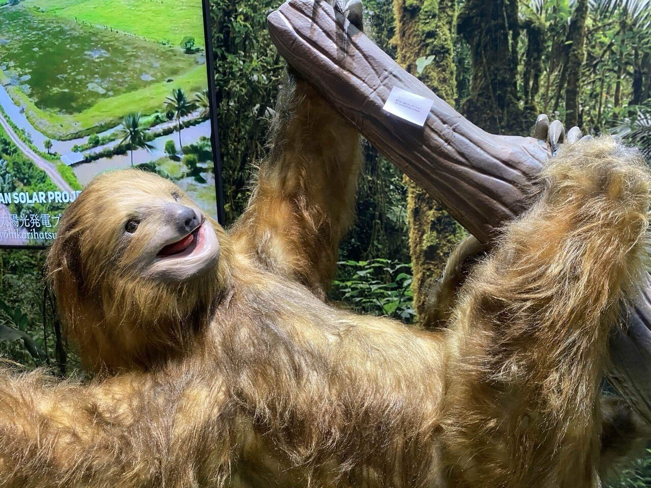 マーブルキャット置物 2個セット　スーダン館　パビリオン　コモンズ 大阪万博に行ってみた話⑨パビリオンーコモンズやお土産等｜嵐山あや