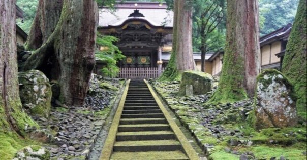 あたりまえのこと 堀尾貞治論｜山本 淳夫