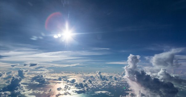 大正生命主義」から考える生命論｜く
