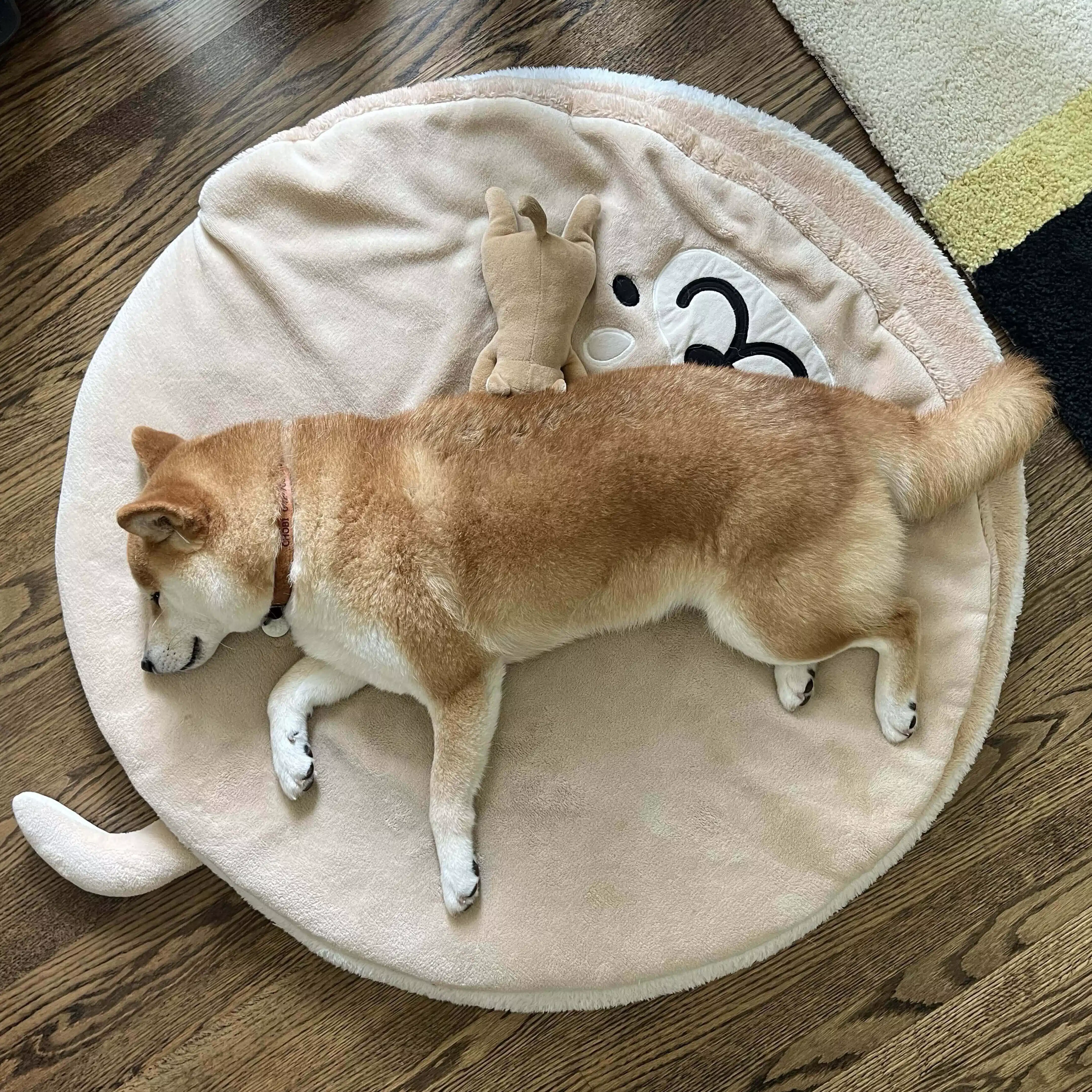 しばいぬとわたし