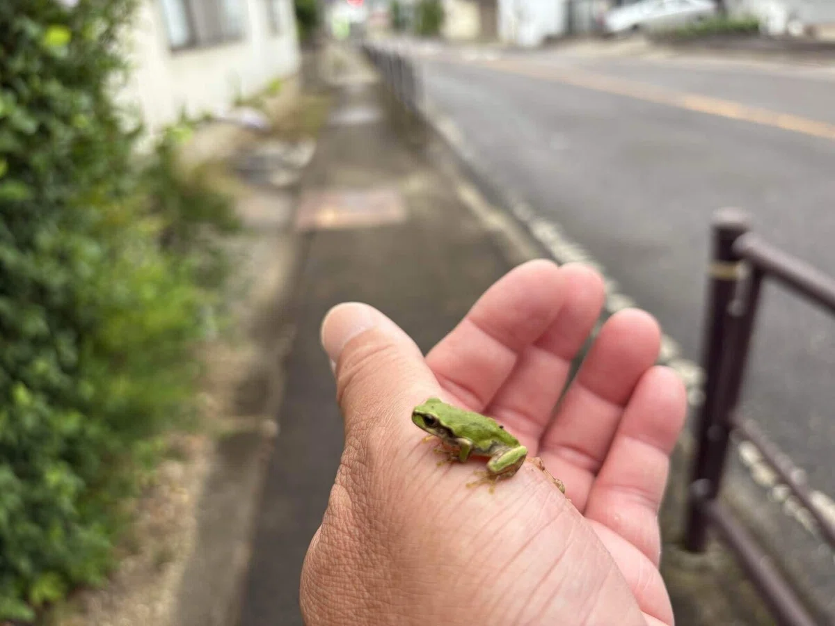 画像