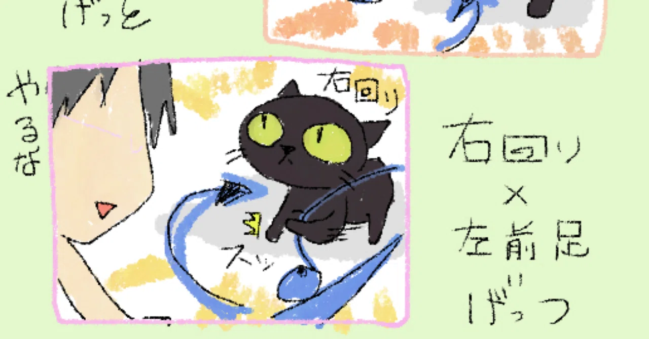 回転と足|羽鳥 一羽