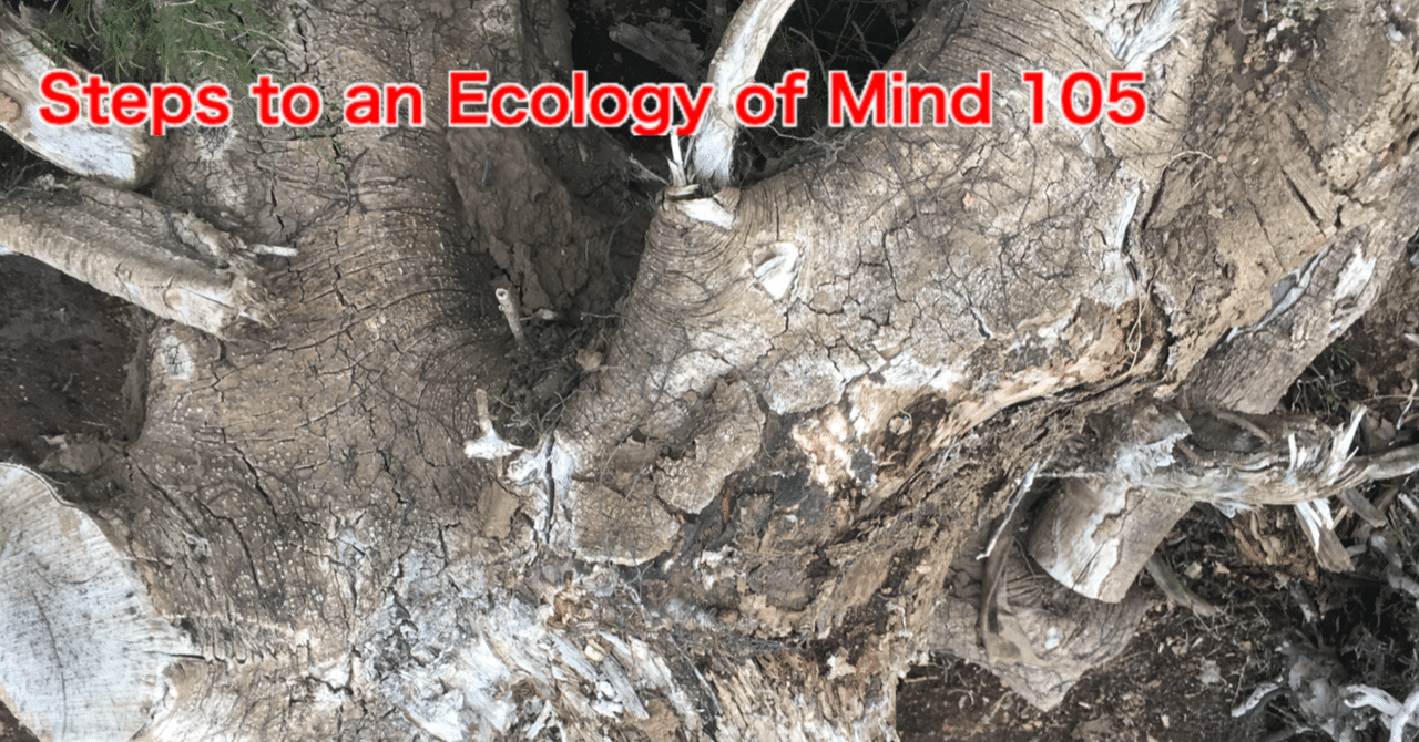 植物生態学論考 土壌生態学』金子信博著 - 田舎の本屋さん