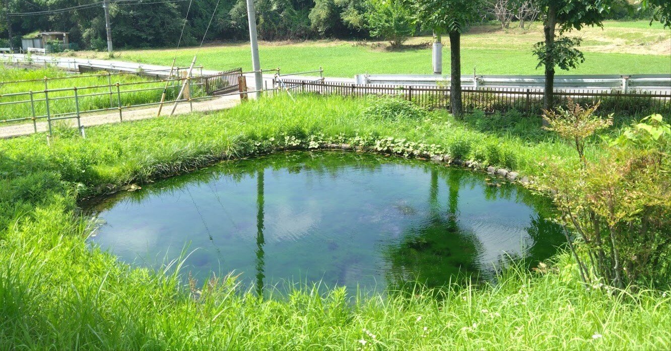 鶴見川流域 「第4回 源流交流会」のこと。｜流域探検隊うじたわら