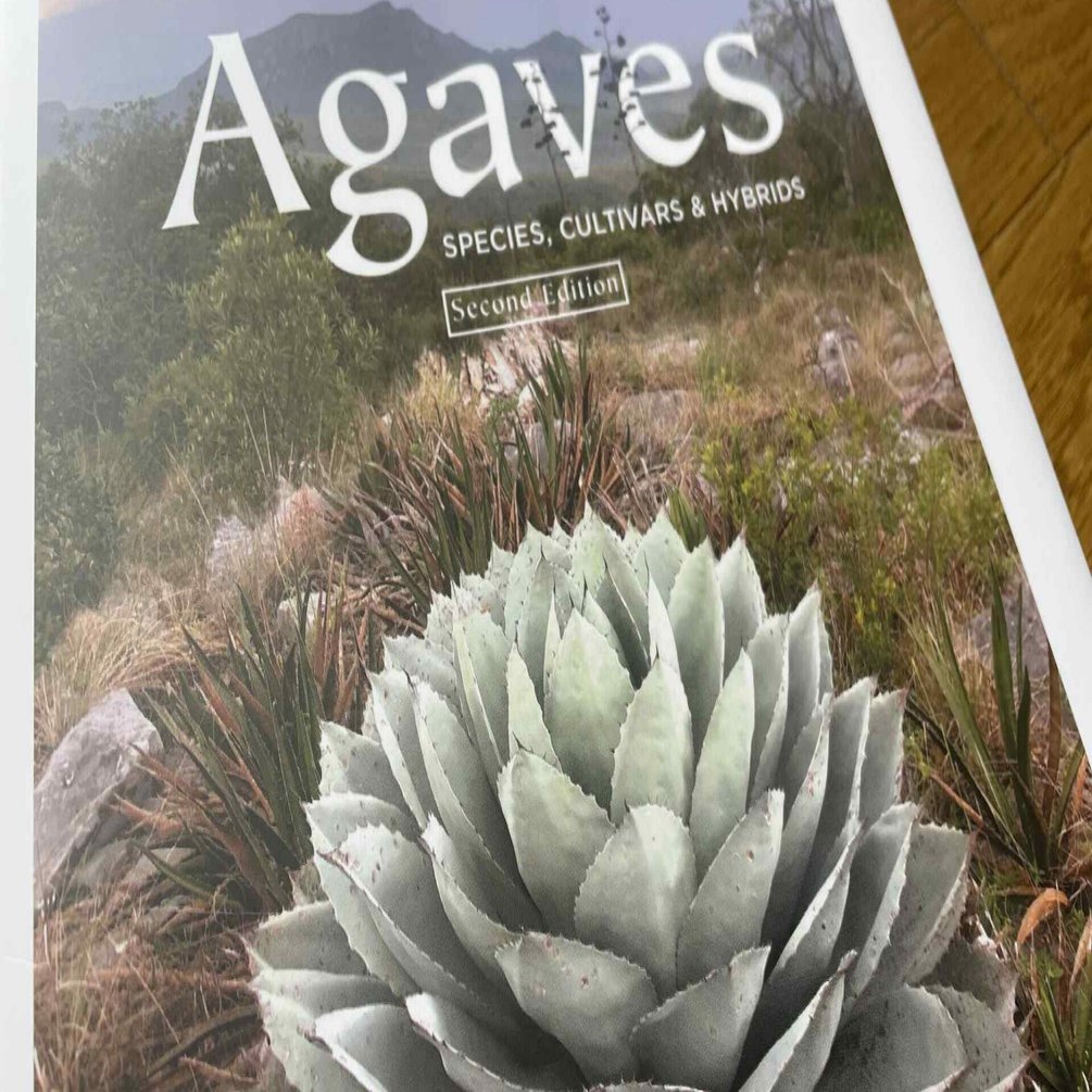 アガベの巨匠にDMを送ったら友達になった｜ミウラタカオ｜植物画＆園芸家