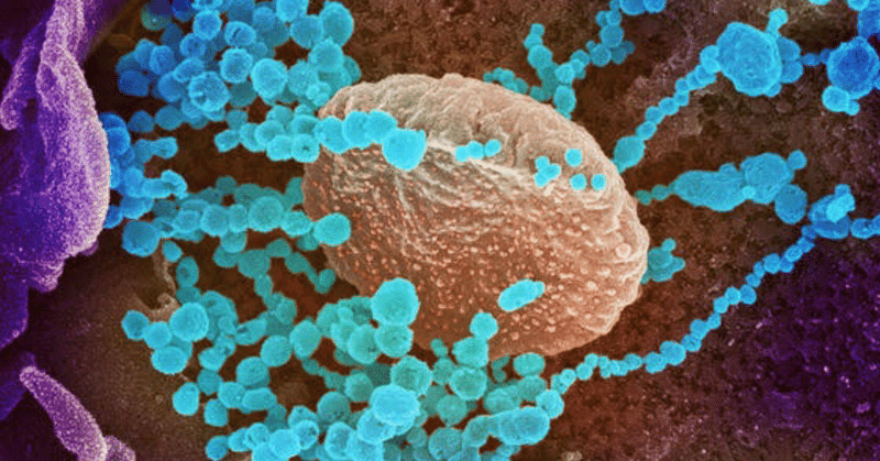 感染確認の３人 同じ大阪のコンサートに参加 客は100人程度 オヤジサウナーズ Note