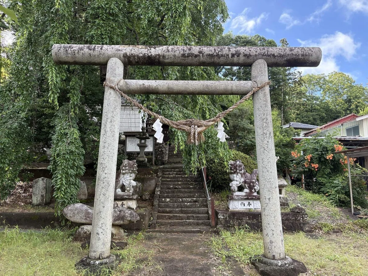 画像