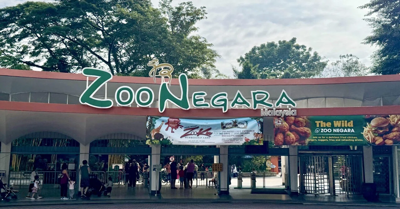 7/13(日)Zoo Negaraネガラ動物園へ！】親子ワーケーション&サマー