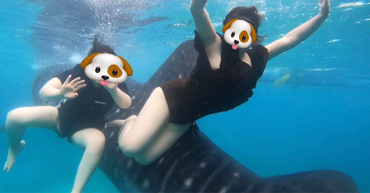 📍セブ島旅行記🇵🇭｜kii_0318