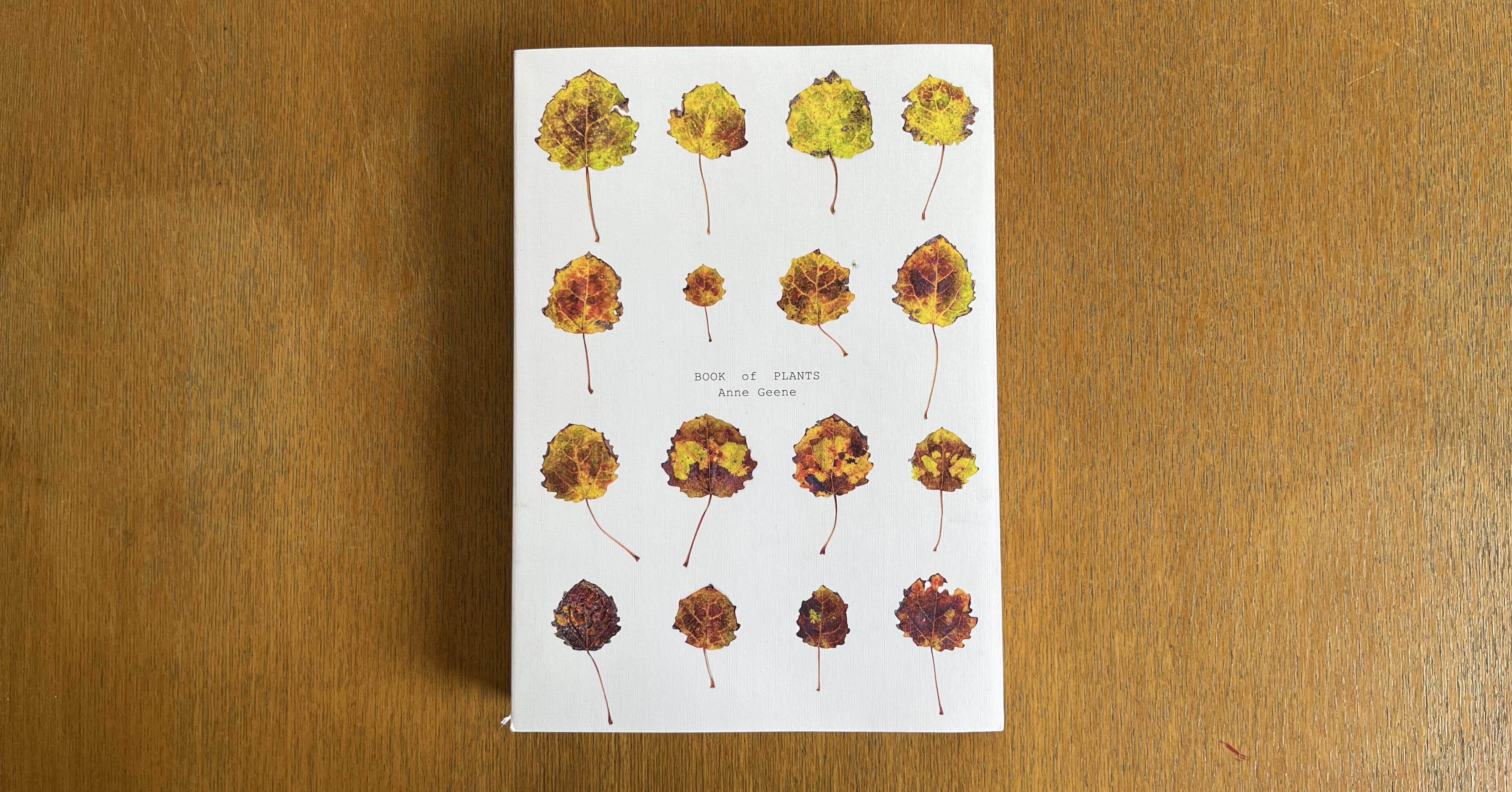 Anne Geene - Book Of Plants (new edition)｜IDEABOOKS JAPAN