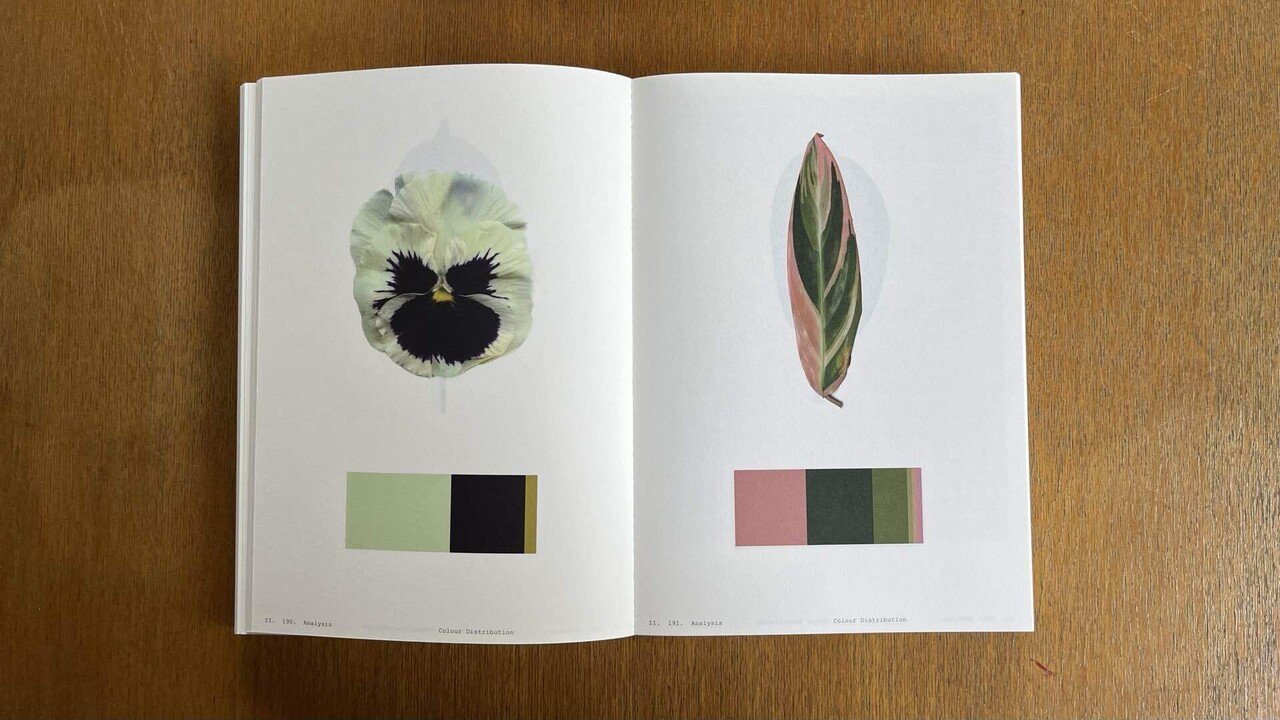 PLANTWORLDS アンドレア・ジョーンズ 植物写真集 洋書 PLANTWORLDS アンドレア・ジョーンズ 植物写真集 洋書