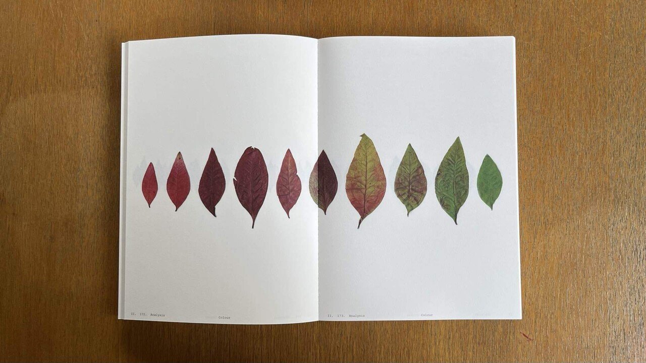 Anne Geene - Book Of Plants (new edition)｜IDEABOOKS JAPAN