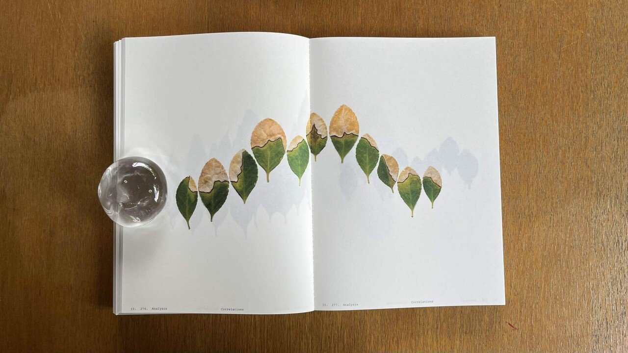 PLANTWORLDS アンドレア・ジョーンズ 植物写真集 洋書 World Plants Report ex Japan ワールドプランツレポート 植物