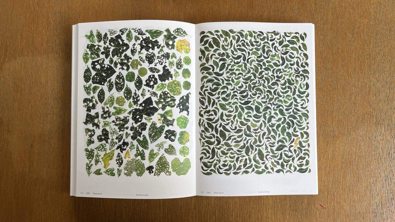 Anne Geene - Book Of Plants (new edition)｜IDEABOOKS JAPAN