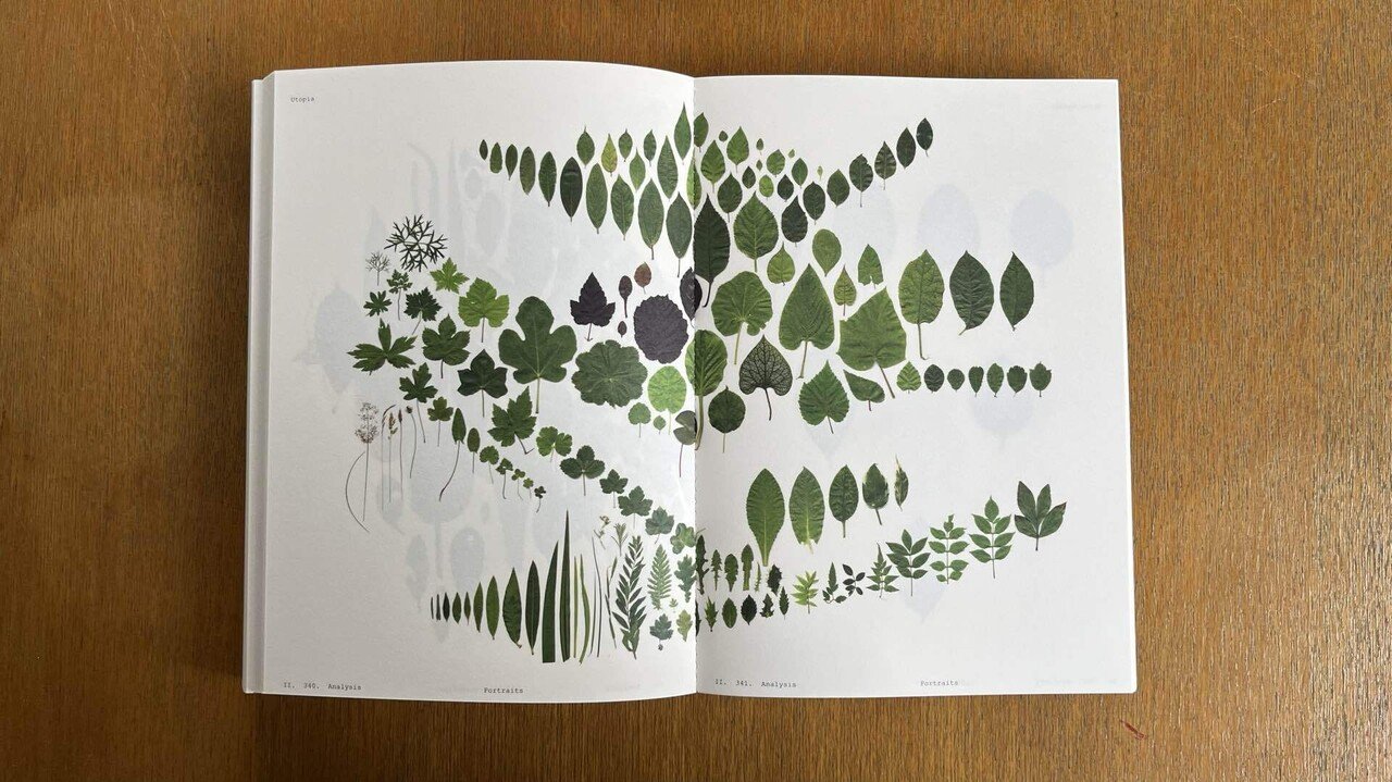 PLANTWORLDS アンドレア・ジョーンズ 植物写真集 洋書 PLANTWORLDS アンドレア・ジョーンズ 植物写真集 洋書