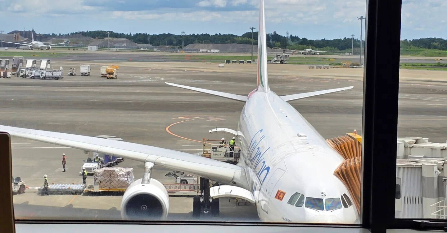 スリランカ航空　ライティングスタンド 初めての海外出張！スリランカ航空搭乗→入国レポ！｜株式会社ダイキ
