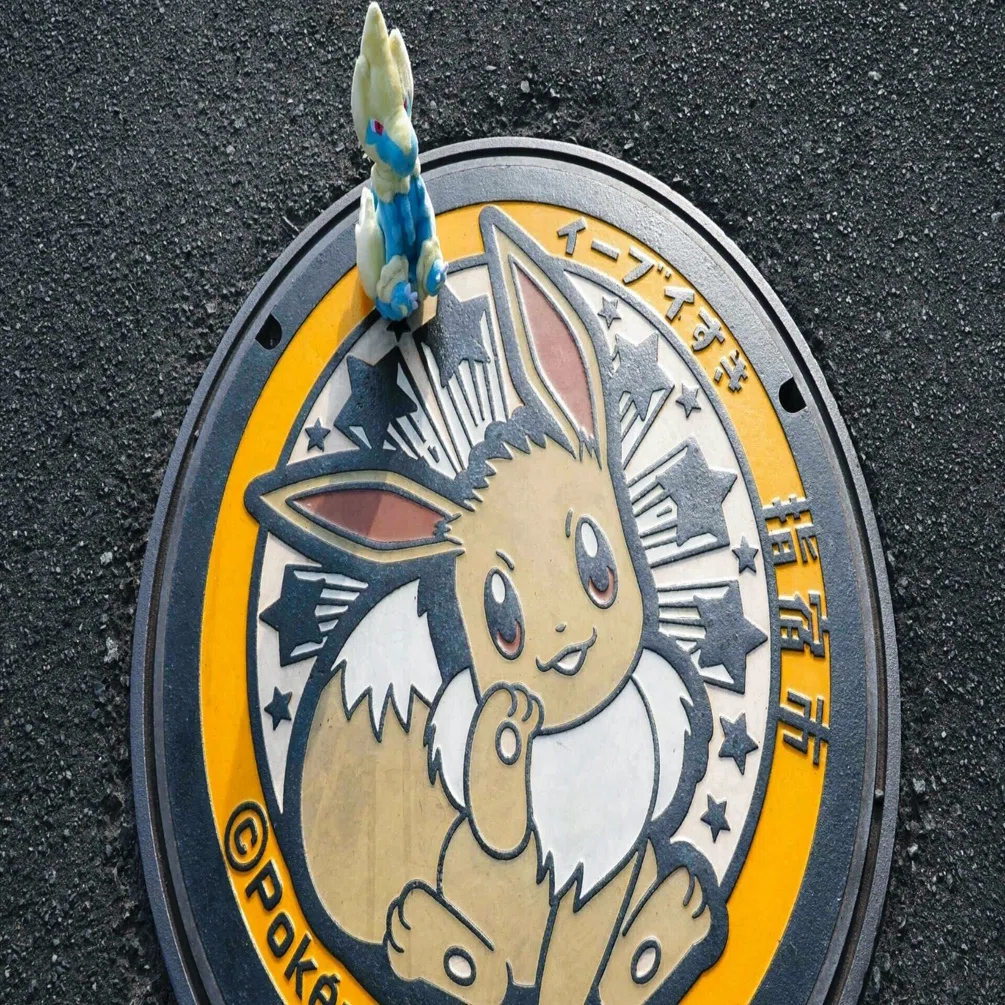 ポケふた】ライボルトと指宿ブイズ巡り｜サトリ
