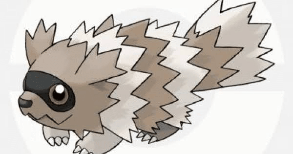 タヌキのポケモンはいない…？［ふんころう日記2025年7月14日