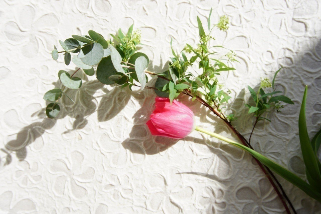 世界を飾る 豊かで美しい言葉 みう Note