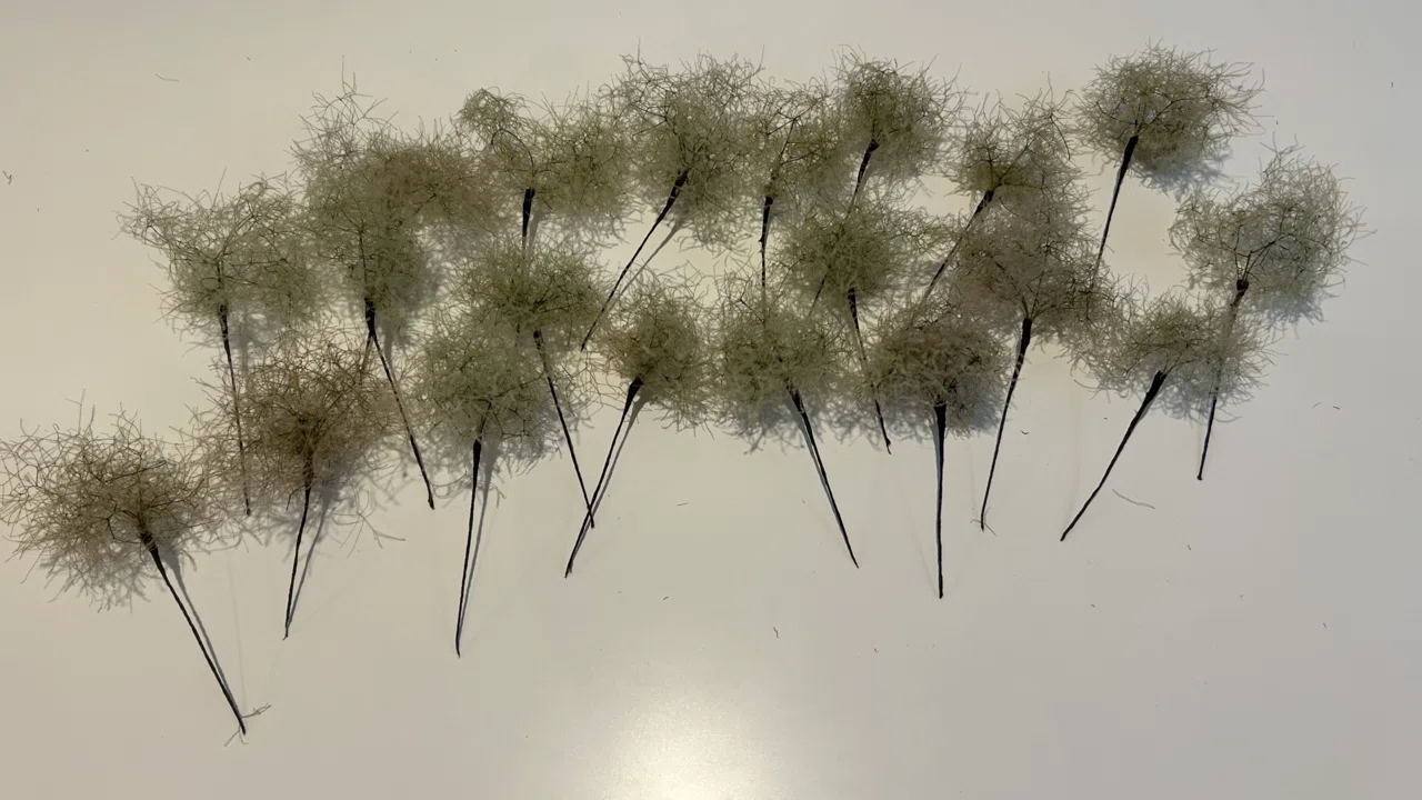 スモークツリーボールスワッグ｜ハナジタク花学校
