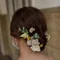 ぽん
