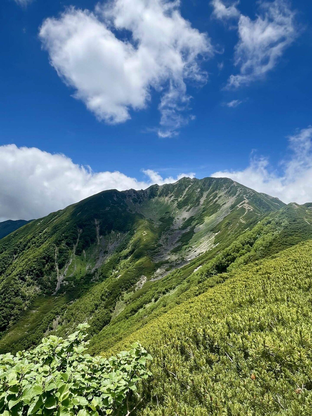 ああ、だからみんなアルプスが好きなんだと思った話【南アルプス仙丈ヶ
