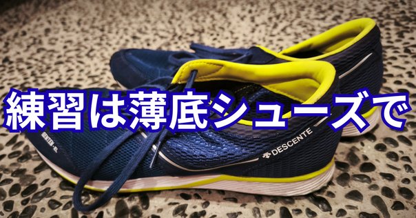 メタスピードスカイ&タクミセン10まとめ売り【美品】【25cm】 タクミセン 33mm メタスピードスカイ 33mm ん?同じ?|qurun.run