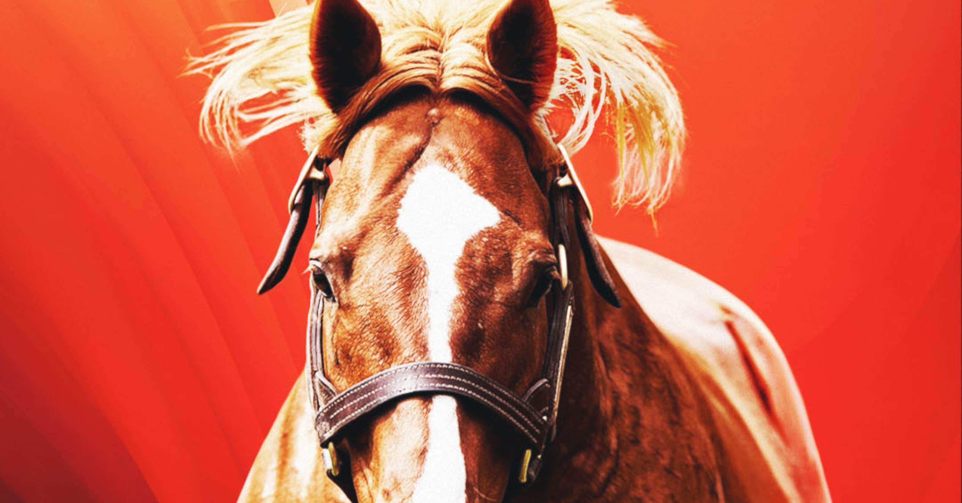 オルフェーヴルさま確認ページ♡ オルフェーヴル産駒 セレクトセール2025 まとめ｜らいあー