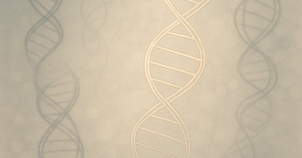 連合の系譜 連合の系譜 | 互 盛央 |本 | 通販 | Amazon