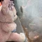 ほつれの昼寝