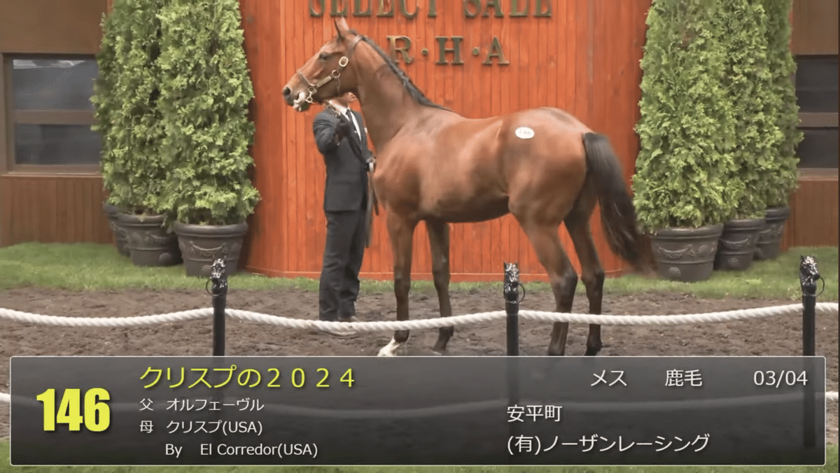 オルフェーヴル  111点の競走馬 オルフェーヴルの写真と高解像度写真 - Getty Images