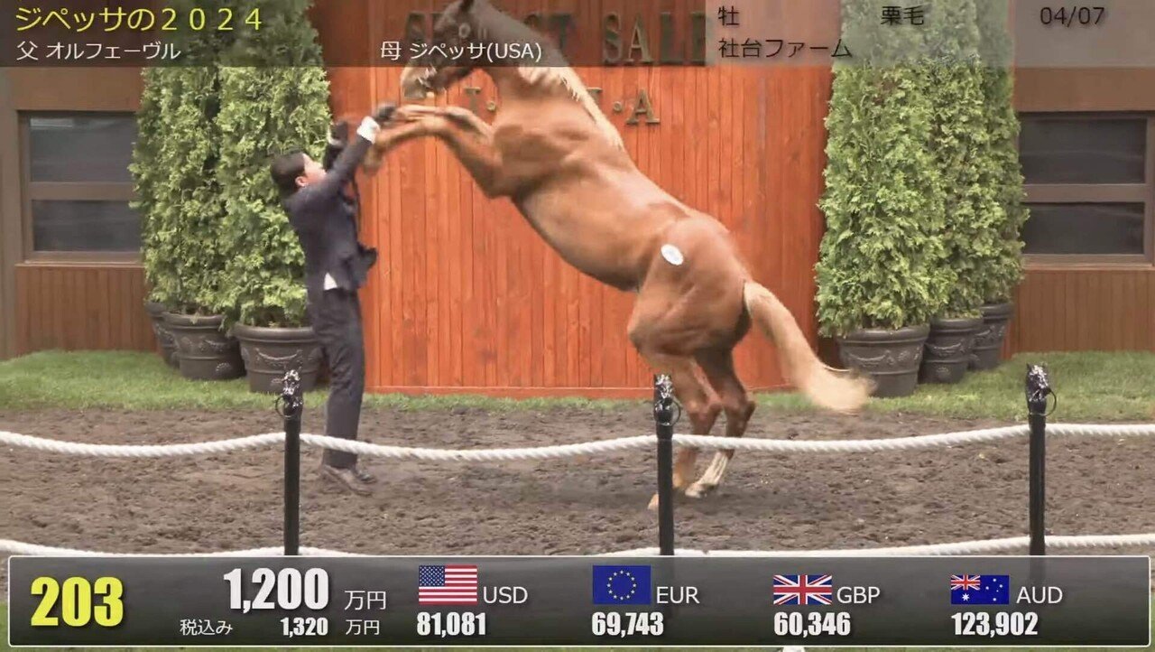 オルフェーヴル産駒 セレクトセール2025 まとめ｜らいあー