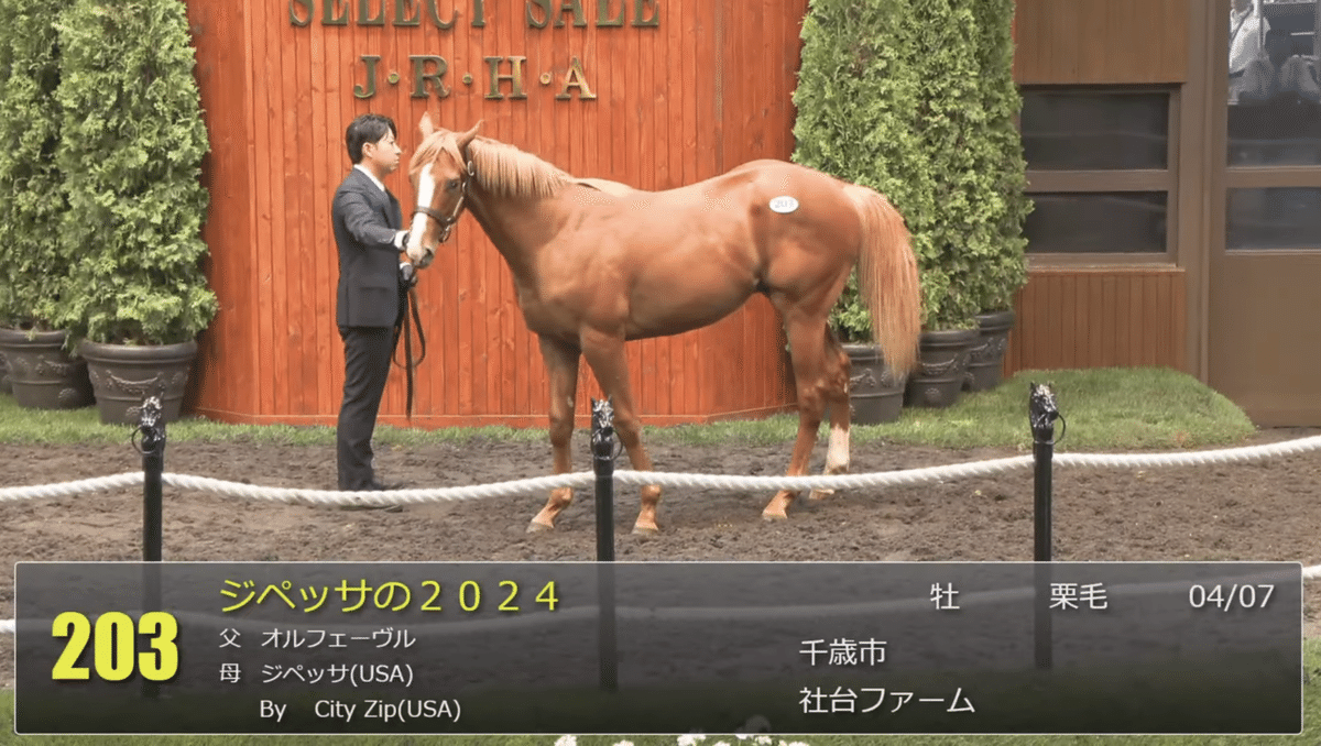 オルフェーヴル 現地的中単勝馬券 メイクデビュー新潟 オルフェーヴル